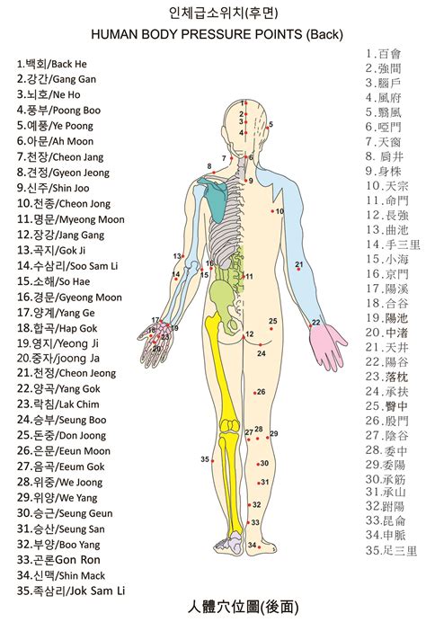 Kyusho Human Body Pressure Points Chart | ubicaciondepersonas.cdmx.gob.mx