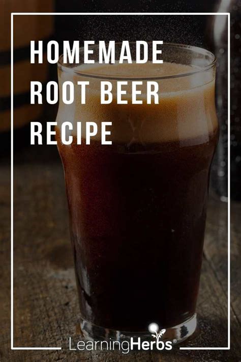 Root Beer Recipe: How to Make Homemade Root Beer