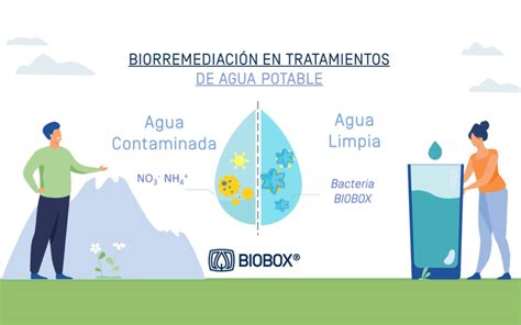 Biorremediación en tratamientos de Agua Potable | biobox-water.com