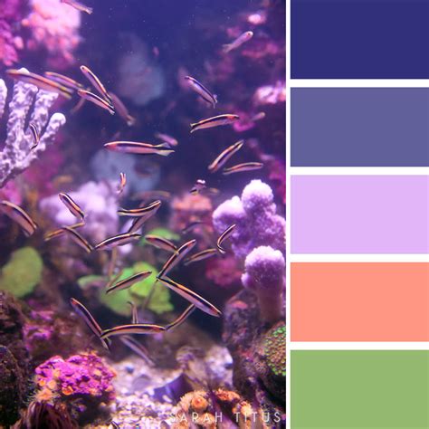 25 Ocean Inspired Color Palettes - Sarah Titus