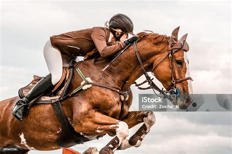 Show Jumping Horse With Rider Jumping Over Hurdle Stock Photo - Download Image Now - iStock