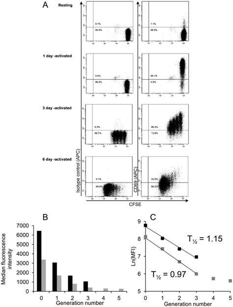 Analysis of CD69 expression following T cell mitosis. (A) Two-parameter... | Download Scientific ...