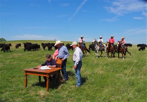 Gov. Laura Kelly tips hat at influence of Flint Hills grassland on ...