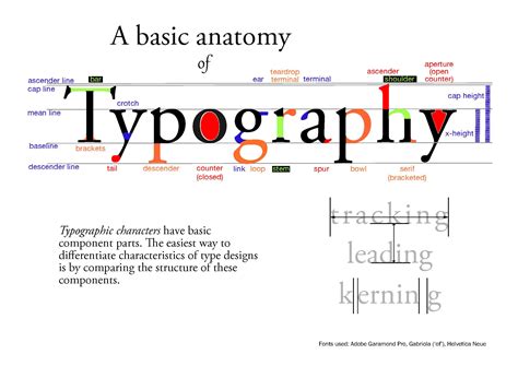 anatomy of typography - Google Search | Anatomy of typography, Typography design, Typography rules