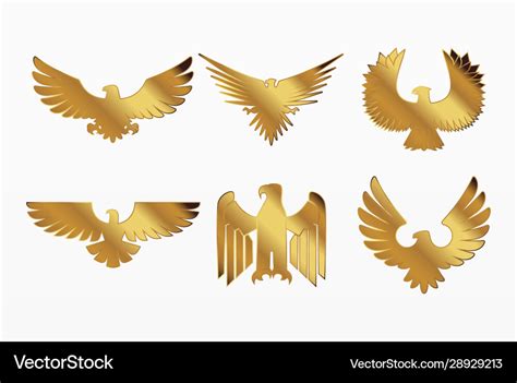 Variety golden eagle set Royalty Free Vector Image