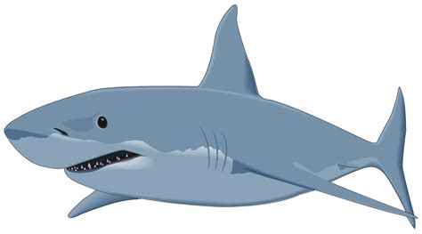 Shark Clip Art – Cliparts