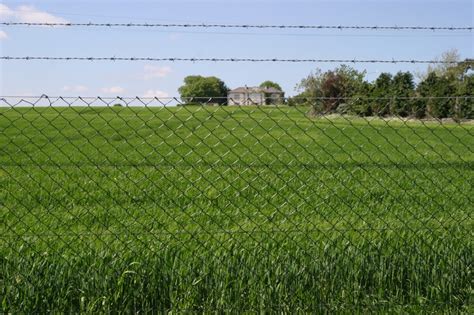 Sheep Wire with Barbed - FRS Fencing