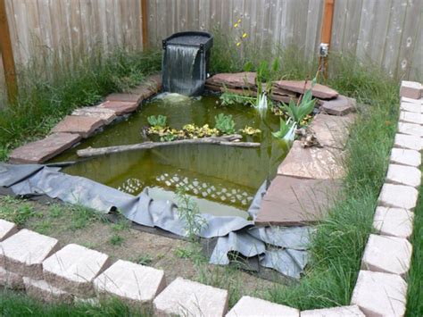 Help my Turtle Pond Algae - Ponds | Turtle pond, Fish pond gardens ...