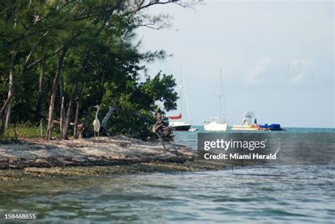 57 Wisteria Island Stock Photos, High-Res Pictures, and Images - Getty Images