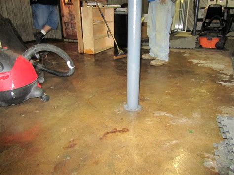 Basement Floor Drain Backflow Preventer – Flooring Blog