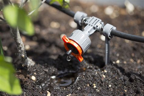 Drip Irrigation Archives - MicroDrips Blog