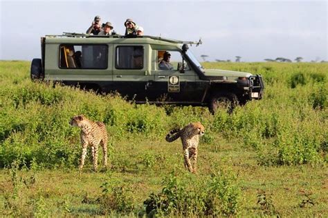 Tanzania National Parks | Tanzania Safari Destinations