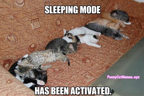 Sleeping Mode Has Been Activated! - Funny Cat MEME