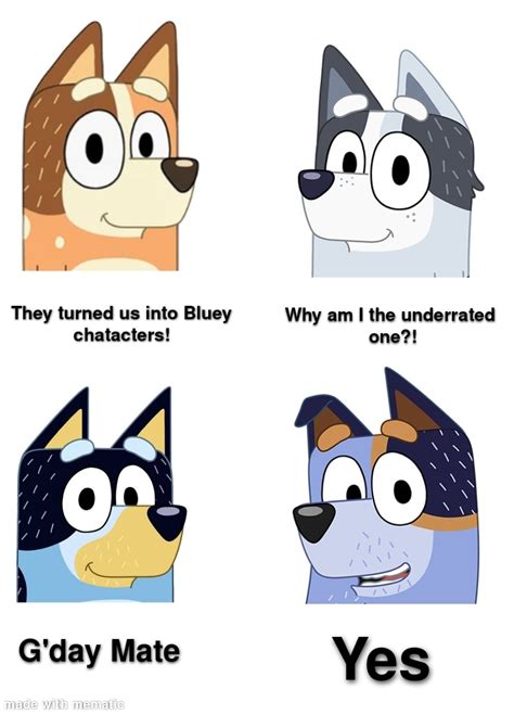 A funny bluey meme : r/bluey