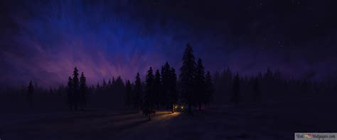 Night Forest Art 4K wallpaper download