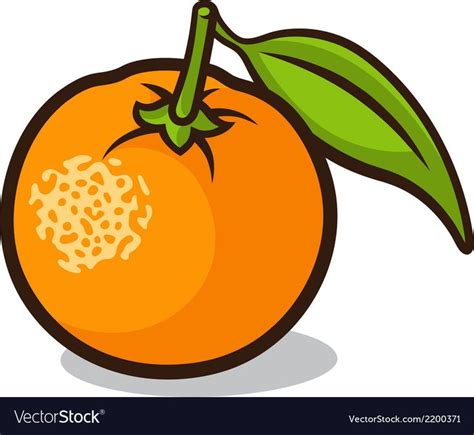 Orange Royalty Free Vector Image - VectorStock | Naranja dibujo ...