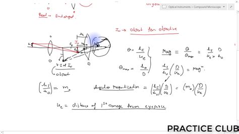 Compound Light Microscope Magnification Calculation | Shelly Lighting