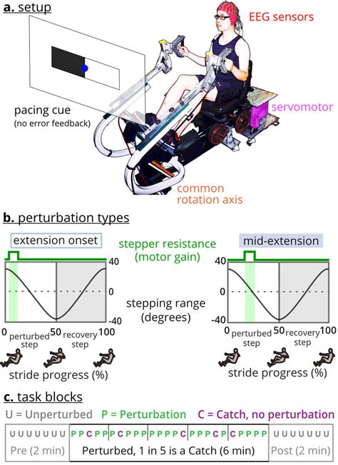 Recumbent stepper and perturbations. a. The recumbent stepper is a ...