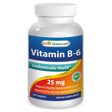 Best Naturals Vitamin B-6 25 mg 250 Tablets - Walmart.com - Walmart.com