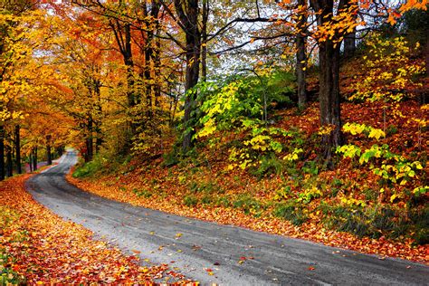 The Best Fall Foliage Spots - Busy Being Jennifer