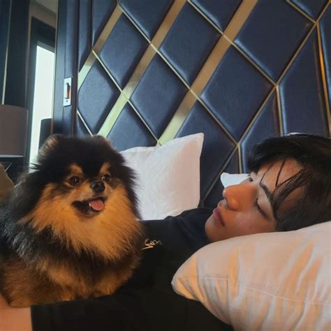 Happy Birthday Yeontan: When BTS singer V's adorable pet dog danced to Mic Drop courtesy J Hope ...