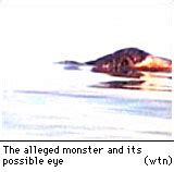 Van Lake Monster Captured On Film