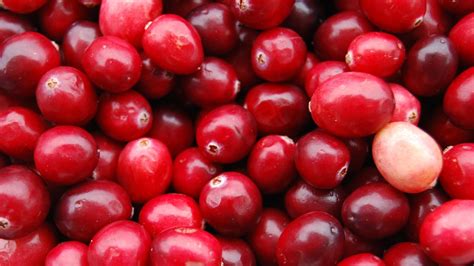 Cranberry Wallpapers - Wallpaper Cave