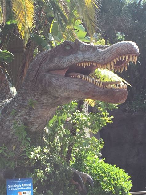 Jurassic Park @ Universal Studios, California | Jurrasic park, Jurassic park film, Jurassic park