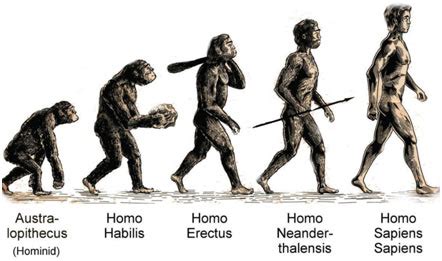 Evolution of Modern Humans - The Homo Sapiens Sapiens