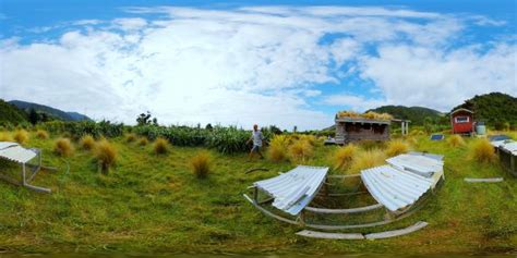 Go green | New Zealand Geographic