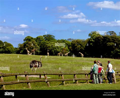 Fota Island Zoo Cork Stock Photo - Alamy