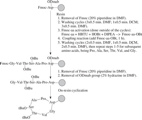 Scheme 1. General scheme for the strategy of cyclic peptide synthesis.... | Download Scientific ...