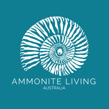 Zellige 100x100MM – Ammonite Living