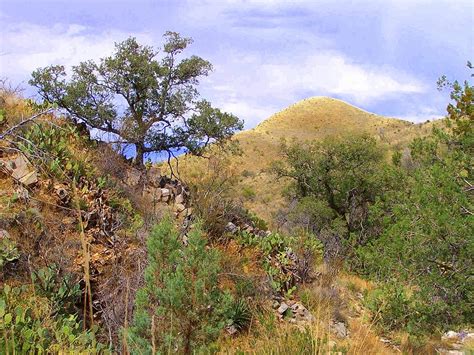 Santa Rita Mountain Hiking Photograph by Teresa Stallings - Pixels