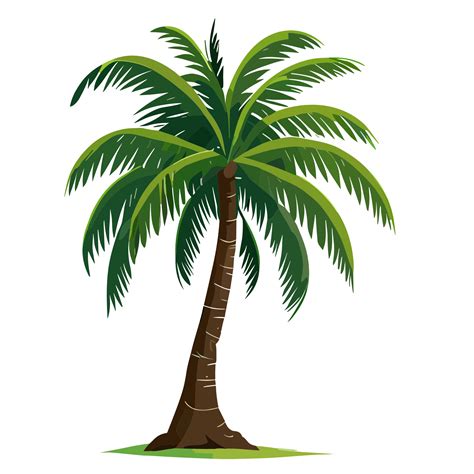 Coconut tree transparent background 25165901 PNG