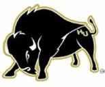 2023 Harding Bisons | American Football Wiki | Fandom