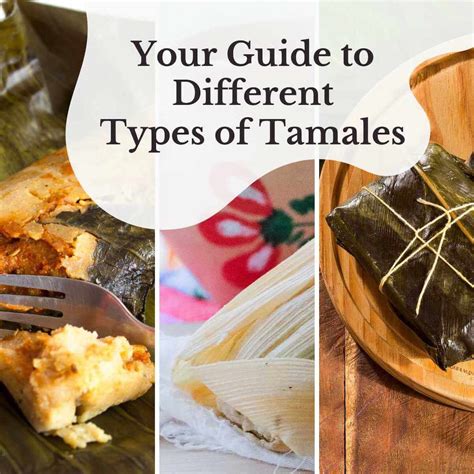 Your Guide to Different Types of Tamales from Latin America