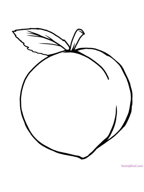 Peach Fruit Coloring Page Coloring Pages