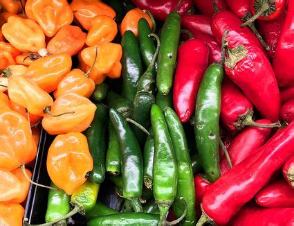 Types of Fresh Chile Peppers