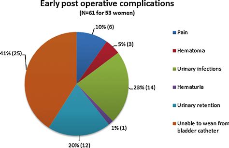 Female Urinary Incontinence and Artificial Urinary Sphincter: Study of ...