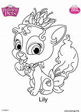Coloring Pets Princess Pages Palace Disney Puppy Printables Brie  sketch template