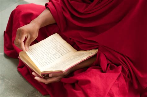 Understanding the Buddhist Scriptures for Beginners - Alan Peto