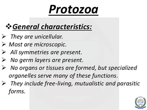 Phylum protozoa