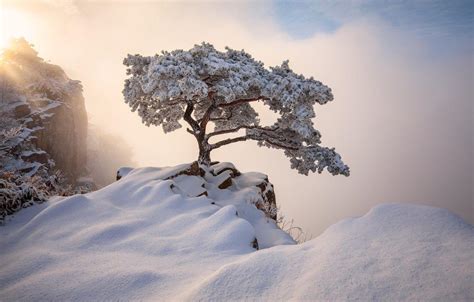 Korean Winter Landscape Wallpapers - Top Free Korean Winter Landscape ...