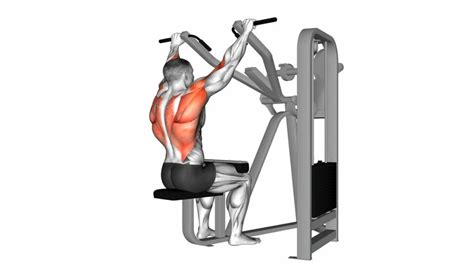 Single Arm Lat Pulldown - How to Instructions, Proper Exercise Form and ...