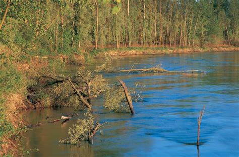 River erosion - creating force in the rivers - World Rivers