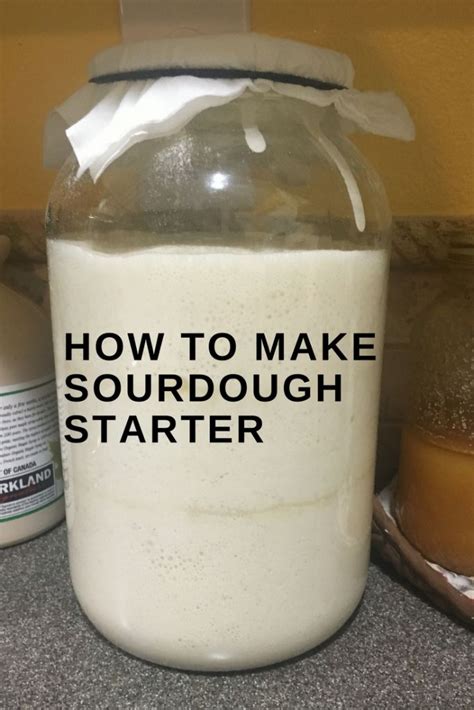 How To Make A Successful Sourdough Starter Sourdough Bread Starter ...