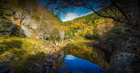 Crawford Notch Sp (Dry River Campground) - 4 Photos - Harts Location,