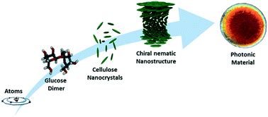 Cellulose nanocrystals in nanoarchitectonics – towards photonic functional materials - Molecular ...