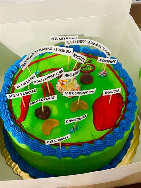 Plant cell cake project in 2023 | Plant cell cake, Plant cell project, Cells project